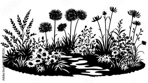 Asters blooming in a natural, uncultivated area, vector illustration art