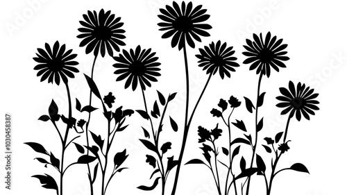 Asters blooming in a natural, uncultivated area, vector illustration art