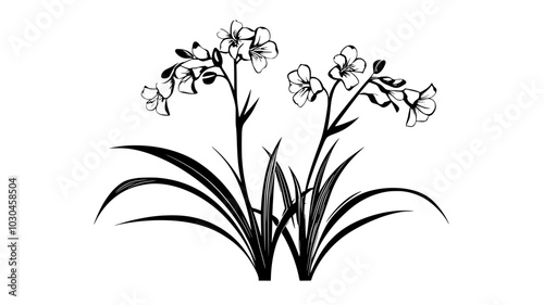 Crocosmia plants with sword-like leaves and tubular flowers, vector illustration art