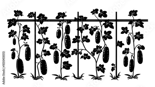 Cucumber plants climbing trellises in a nutrient film technique setup, vector illustration art