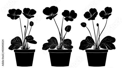 Cyclamens growing in planters near a home entrance during winter, vector illustration art