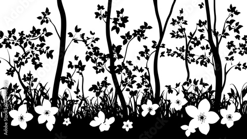 Dogwood tree with layered branches at the forest edge, vector illustration art