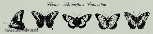 Collection of beautiful butterflies, black and white insects top and side view. Silhouette of butterflies, retro and magical aesthetics, monochrome silhouette. Beautiful wings with a pattern. Vector photo