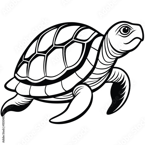 Turtle Line Drawing Vector.