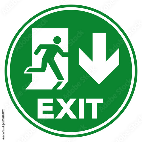 Exit Arrow Down Symbol Sign, Vector Illustration, Isolate On White Background Label. EPS10