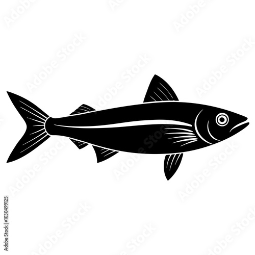 herring isolated on white
