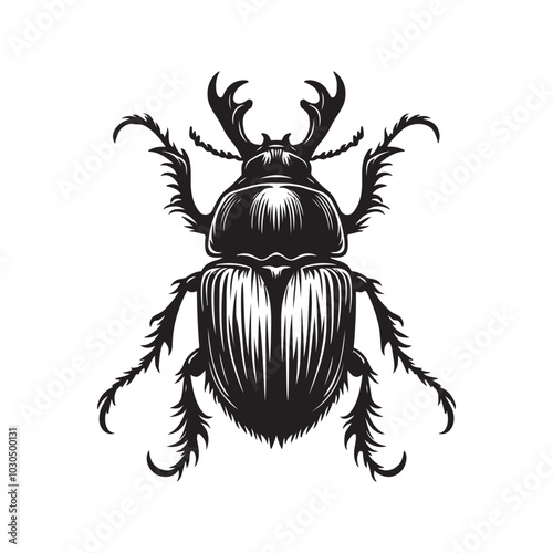 Vector Beetle Illustration Black and Black-and-White Versions.