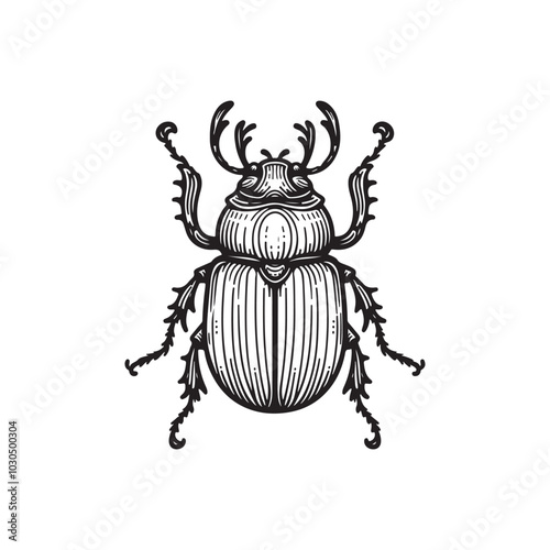 Beetle Vector Art Isolated Black and White Variants.