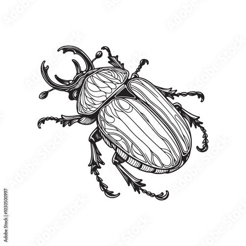 Black Beetle Vector Versions on White.