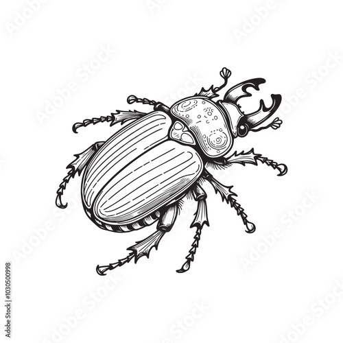 Black Beetle Silhouette Vector Icon on White Background.