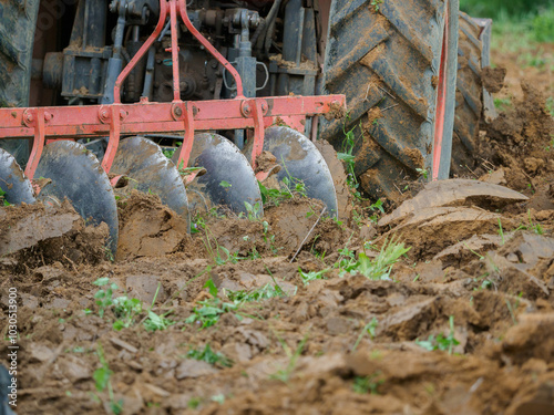 Tractor plowing soil in oil palm plantation photo