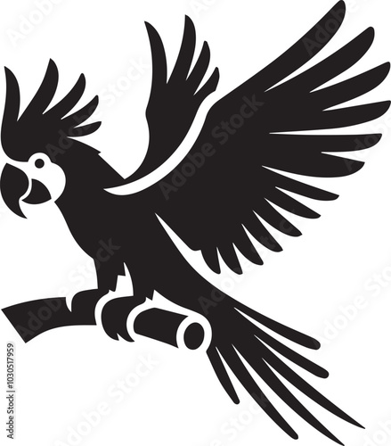 black and white parrot