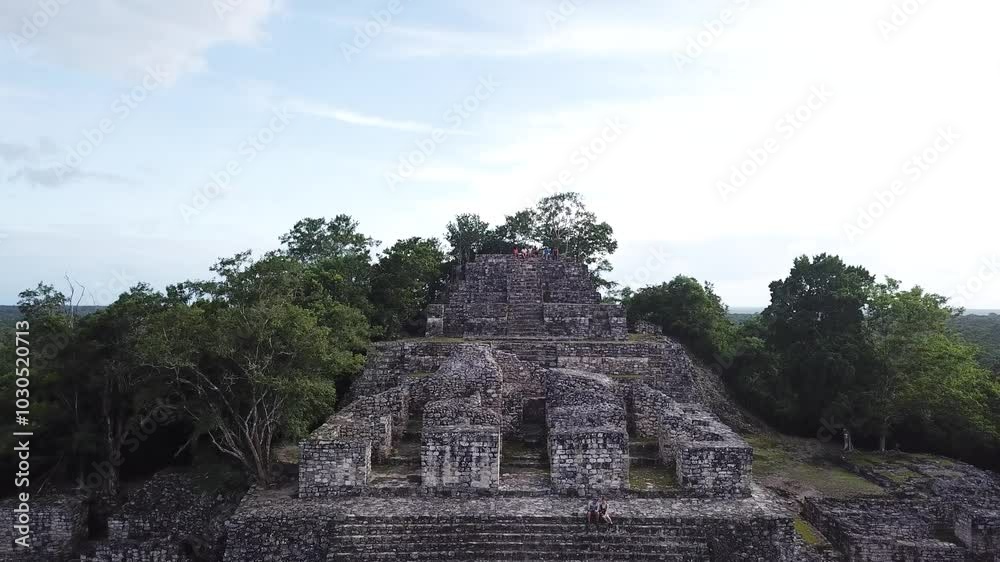 Aerial view, drone flying over the Calakmul pyramid in the Campeche jungle, Mexico Aerial view, drone flying over the Calakmul pyramid in the Campeche jungle, Mexico