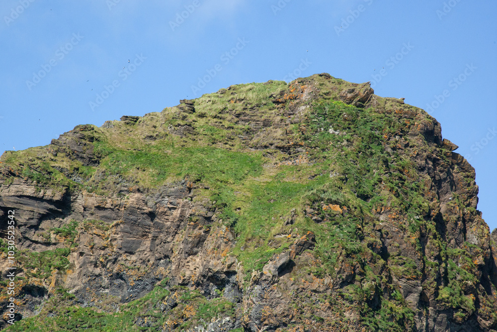 Lovely Iceland Landscape