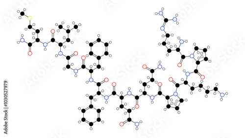 substance p molecule, structural chemical formula, ball-and-stick model, isolated image undecapeptide photo