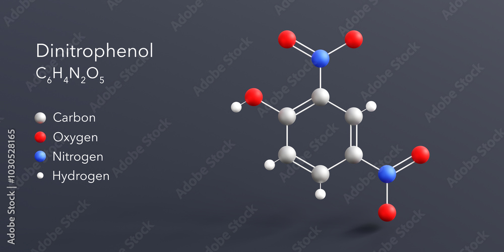 dinitrophenol molecule 3d rendering, flat molecular structure with chemical formula and atoms color coding