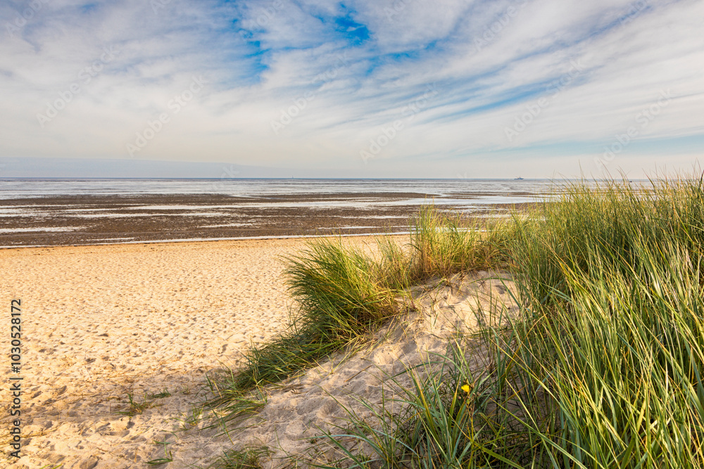 Dune at the wadden sea, Schillig, Germany Dune at the wadden sea, Schillig, Germany