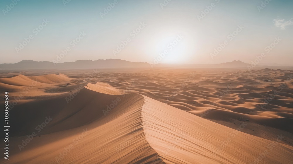 Golden Desert Dunes at Sunset Golden Desert Dunes at Sunset