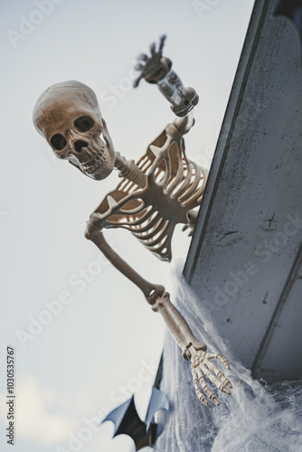A skeleton reaches towards me from the roof, looking down from above. A spooky Halloween decoration creating a chilling atmosphere.