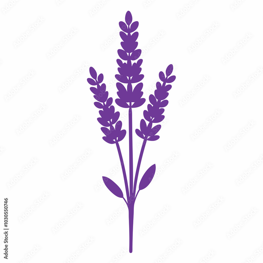 Fototapeta premium lilac isolated on white background