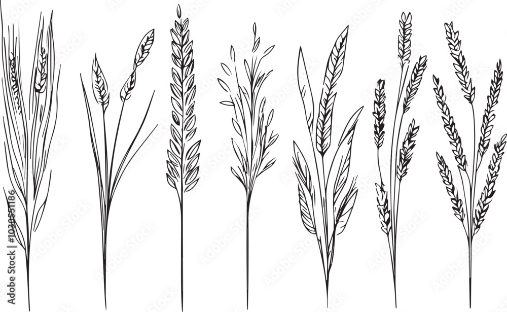 Set of minimalistic flat design wheat silhouettes. Hand drawn vector illustration Set of minimalistic flat design wheat silhouettes. Hand drawn vector illustration