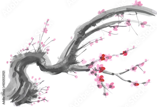 Realistic watercolor sakura blossom - Japanese cherry tree. Artistic branch sakura blossom. 