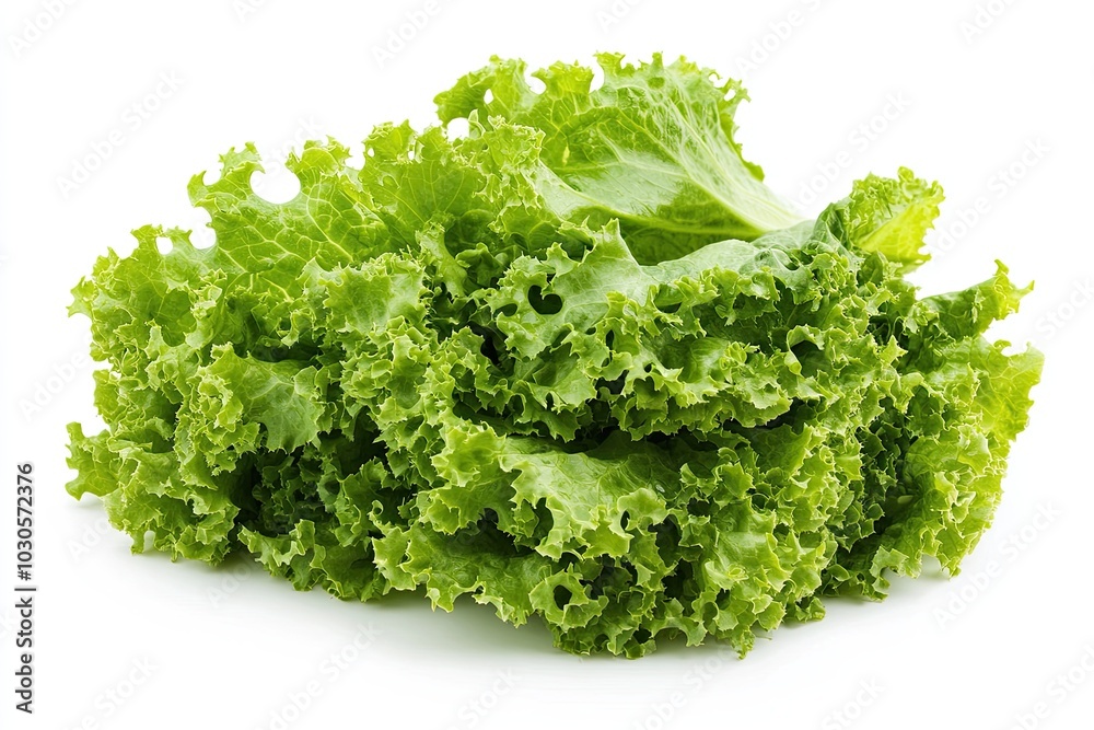 Fresh Frillice Iceberg Lettuce isolated on a white background Fresh Frillice Iceberg Lettuce isolated on a white background