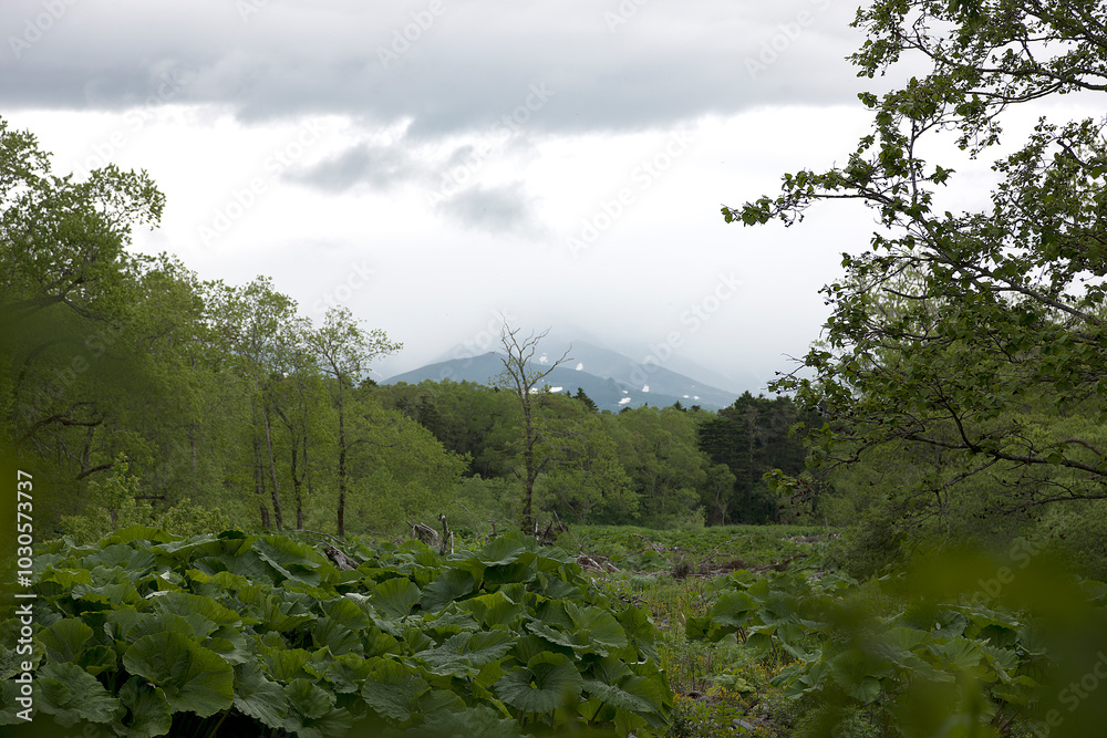 Obraz premium Russia Kuril Islands landscape on a cloudy summer day