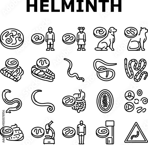 helminth worm parasite roundworm icons set vector. dog tapeworm, heart helminth ascaris, internal cat, nematode pet, pinworm giardia helminth worm parasite roundworm black contour illustrations