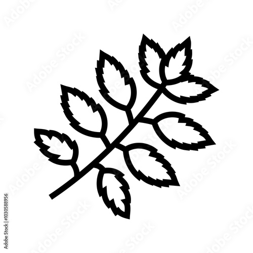 neem leaves ayurvedic herb line icon vector. neem leaves ayurvedic herb sign. isolated contour symbol black illustration