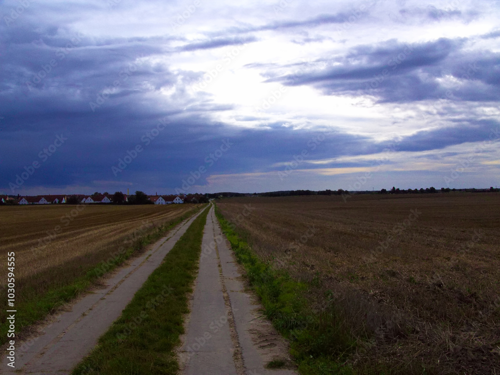 Plattenweg zwischen den abgeernteten Maisfeldern
Plattenweg zwischen den abgeernteten Maisfeldern