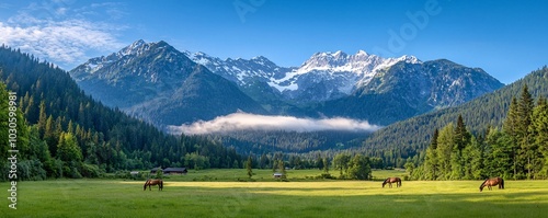 Horses Grazing in Mountain Meadow.