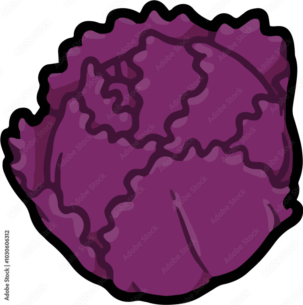 Cabbage Icon Cabbage Icon