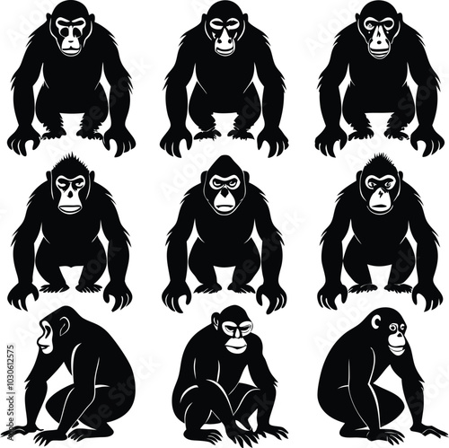 Black & White Vector Illustration of Monkeys: Graphic Silhouette of Chimpanzees, Gorillas, & Apes for Design & Animal Lovers
