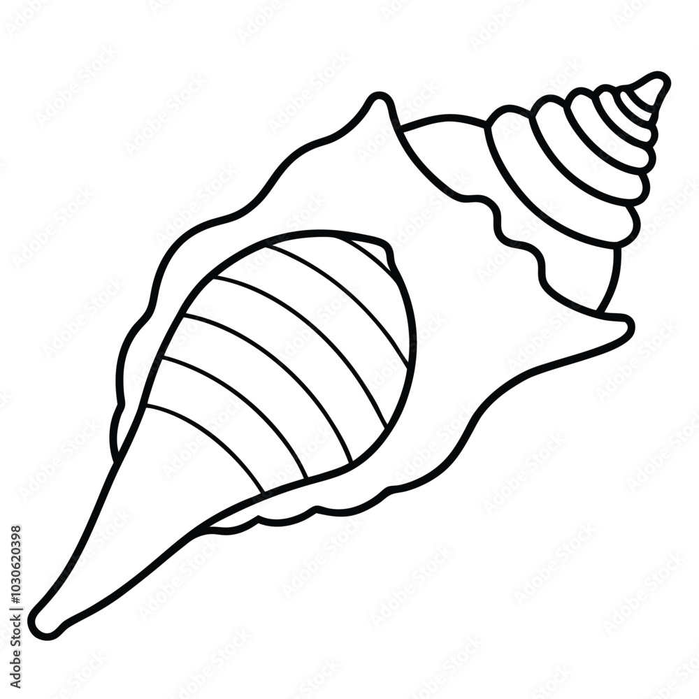 Conch Shell Musical Instrument Vector Illustration Conch Shell Musical Instrument Vector Illustration