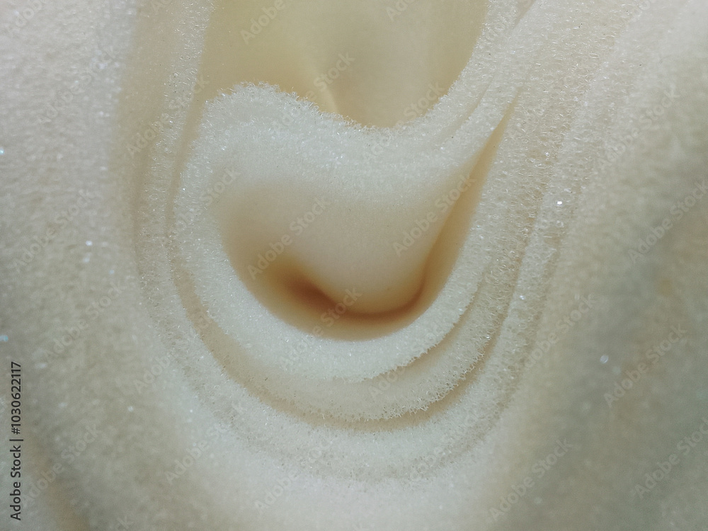 Obraz premium roll of thin white foam sponge. plain sheet of curved style texture material