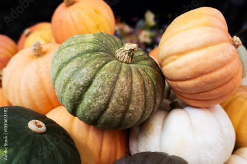 A mix of colorful pumpkins—orange, white, and green, seasonal and Halloween decorations.