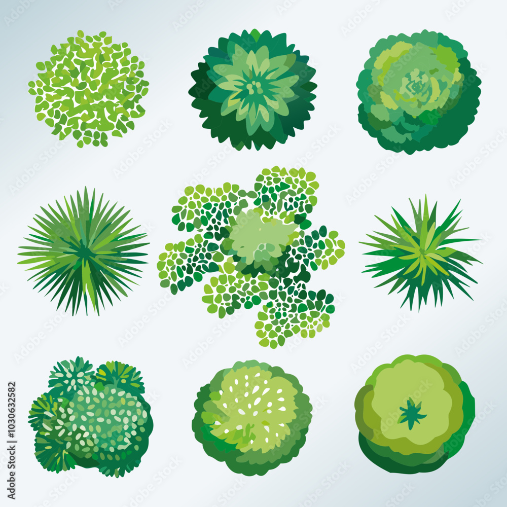 Ensemble de 9 Icônes d'Arbres et d'Arbustes pour Plans de Jardins et Architecture Vus de dessus, Nature et Végétation Couleur Vert Vecteur