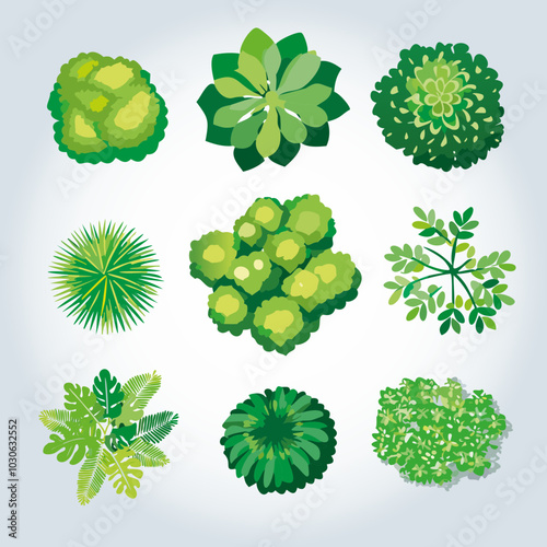 Ensemble de 9 Icônes d'Arbres et d'Arbustes pour Plans de Jardins et Architecture Vus de dessus, Nature et Végétation Couleur Vert Vecteur