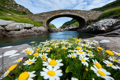 Ancient stone bridge spanning a river with wildflowers growing along the banks in the Westcountry photo