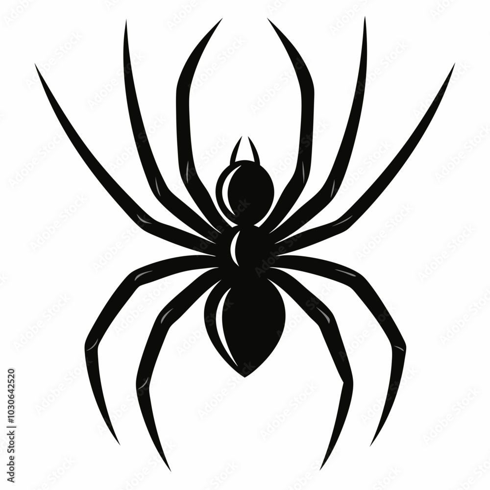 black spider isolated on white black spider isolated on white