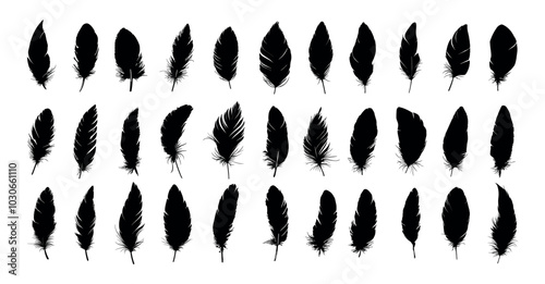 Quill feathers silhouettes black ink vector set. Plume bird fluffy plumage pen script tool, manual hand writing poets writers retro vintage accessory, isolated illustrations on white background