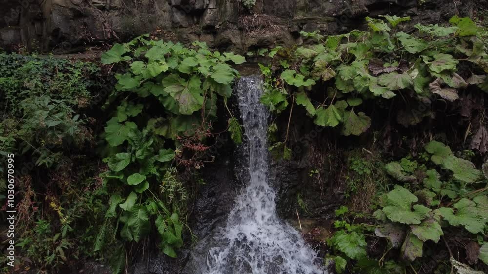 Small waterfall in the forest. Tbilisi Botanical Garden mineral water flowing through the landscape. Natural drone view. Small waterfall in the forest. Tbilisi Botanical Garden mineral water flowing through the landscape. Natural drone view.