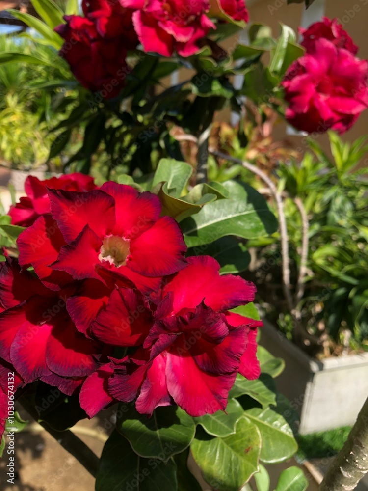 Nature's Bouquet: A Bunch of Flowers in Vibrant Harmony Nature's Bouquet: A Bunch of Flowers in Vibrant Harmony