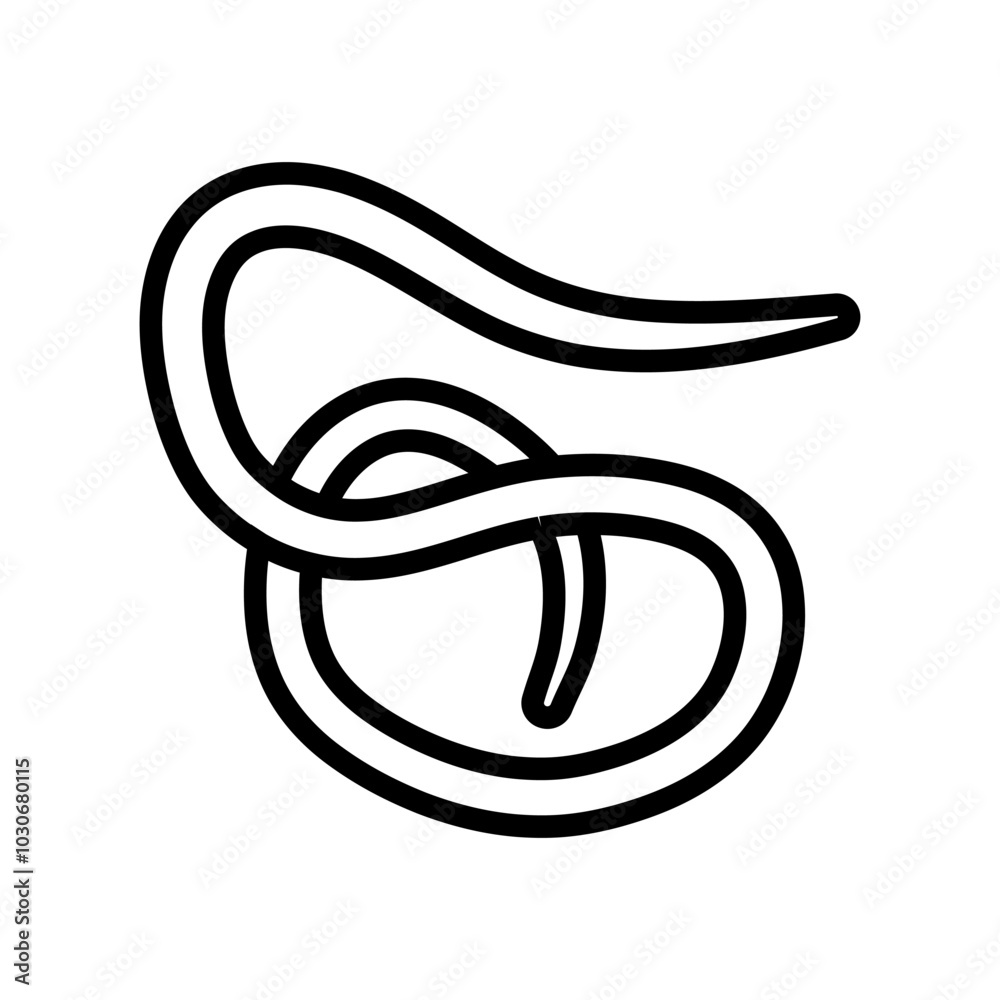 roundworm parasite line icon vector. roundworm parasite sign. isolated contour symbol black illustration roundworm parasite line icon vector. roundworm parasite sign. isolated contour symbol black illustration