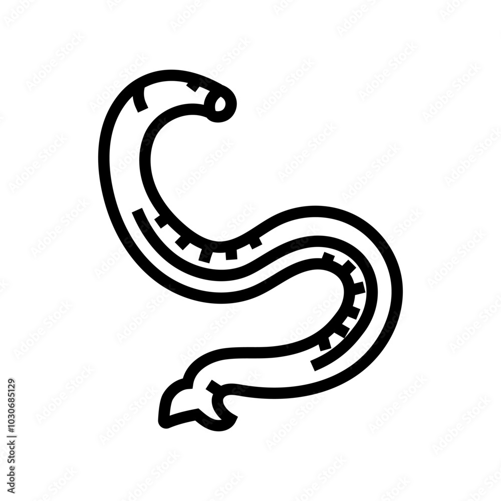 Fototapeta premium hookworm parasite line icon vector. hookworm parasite sign. isolated contour symbol black illustration