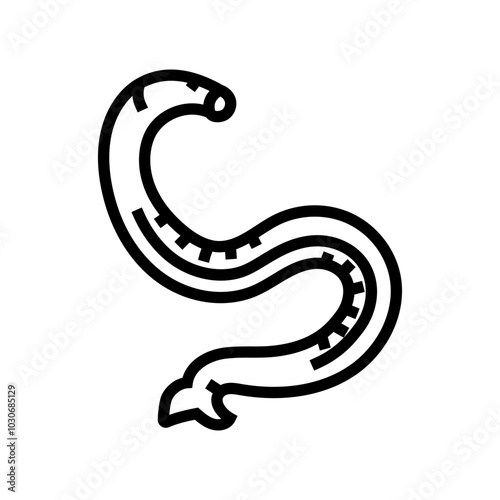 hookworm parasite line icon vector. hookworm parasite sign. isolated contour symbol black illustration