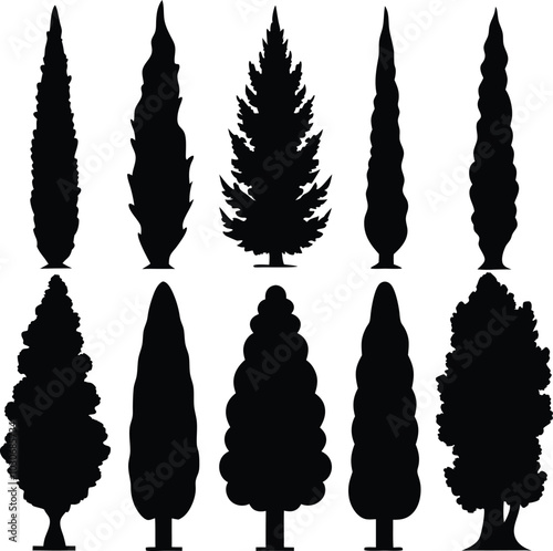 A lot of Silhouette silent cypress black color Design for graphics designer.