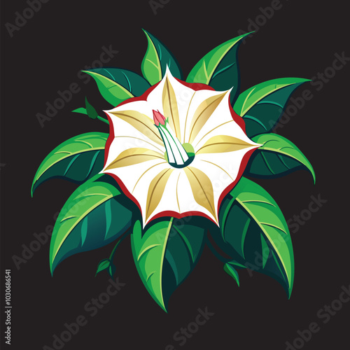 datura flower Vector 3D Image Downloads.