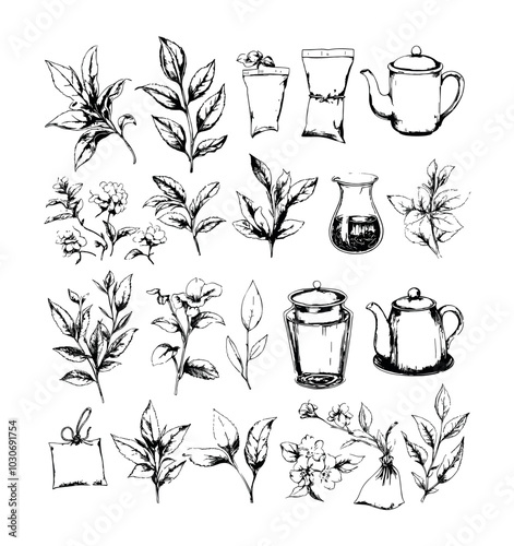Tea black ink sketch vector set. Dried leaves paper teabags branches stem plant flower branch jar pot packages morning drink, illustrations isolated on white background